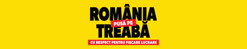 Reegulament Romania pusa pe treaba
