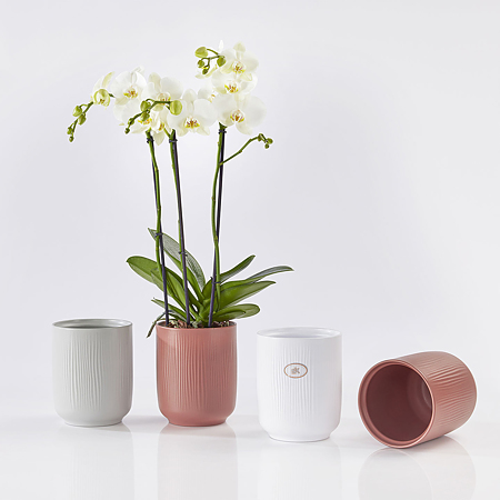 Ghiveci SK Falun Glamour, ceramica, alb, diametru 15 cm, 15 cm