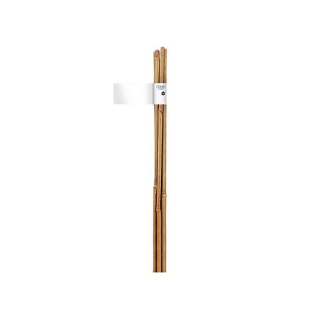 Set 6 tutori bambus Nortene, bambus, verde/natur, 6-8 mm diametru, 60 cm inaltime
