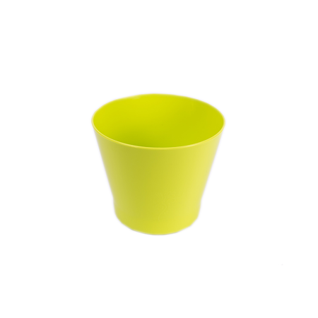 Ghiveci Zinnia, 90 mm, lime