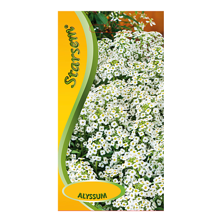 Seminte de alyssum alb, Starsem