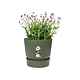 Ghiveci Elho Greenville Round, plastic, verde, diametru 16 cm, 14 cm Ghiveci Elho Greenville Round, plastic, verde, diametru 16 cm, 14 cm