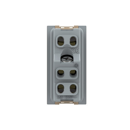 Modul priza simpla standard italian Livolo VL-FCTL16A-1AP, policarbonat, auriu