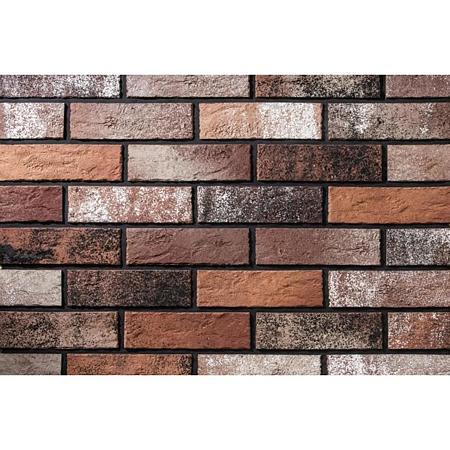 Caramida aparenta Cemacon DR5203, interior/exterior, multicolor, grosime 9 mm, 240 x 71 mm