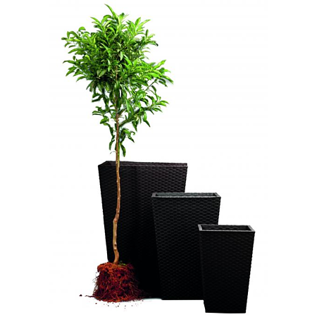 Ghiveci Keter Rattan Planter S, plastic, maro, 28,5 x 28,5 x 43,5 cm