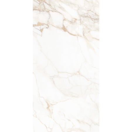 Gresie portelanata exterior/interior Imperial White, alb, mat,  PEI 4, 10 mm, 120 x 60 cm