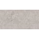 Gresie portelanata interior/exterior Ariana Dove, rectificata, lucios, gri, aspect piatra, 60 x 120 cm