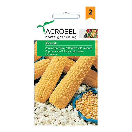 Seminte de porumb popcorn, Agrosel Plomyk