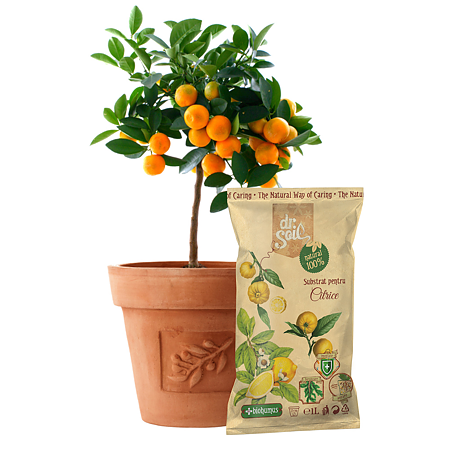 Substrat pentru citrice Dr. Soil, 1l Substrat pentru citrice Dr. Soil, 1l