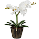 Lampa decorativa, Flower White, alba, 7 Led-uri 0,06 w, lumina calda, 37 x 25 cm