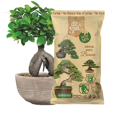 Substrat pentru bonsai Dr. Soil, 1l