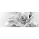 Faianta decorativa Keramin Elegy 7-tip 3, lucioasa, stil elegant, alb/negru, 20 x 50 cm