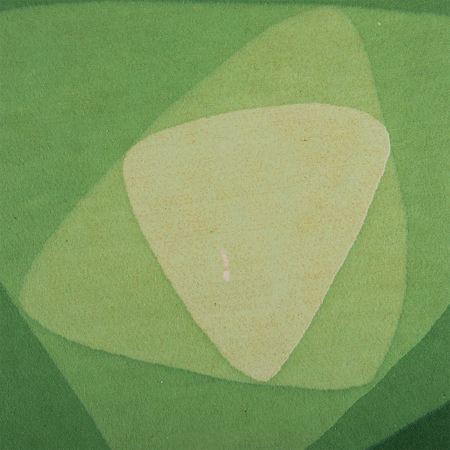 Covor modern Print Mat, poliester, model vartej verde, 70 cm
