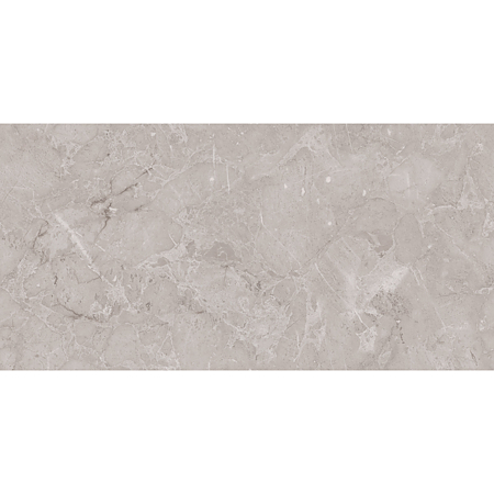 Gresie portelanata interior/exterior Ariana Dove, rectificata, lucios, gri, aspect piatra, 60 x 120 cm