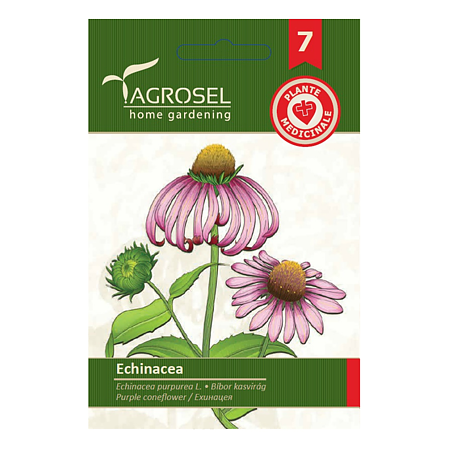 Seminte echinaceea Agrosel, 2 g