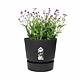 Ghiveci cu rezervor de apa Elho Greenville, plastic, negru, diametru 16 cm