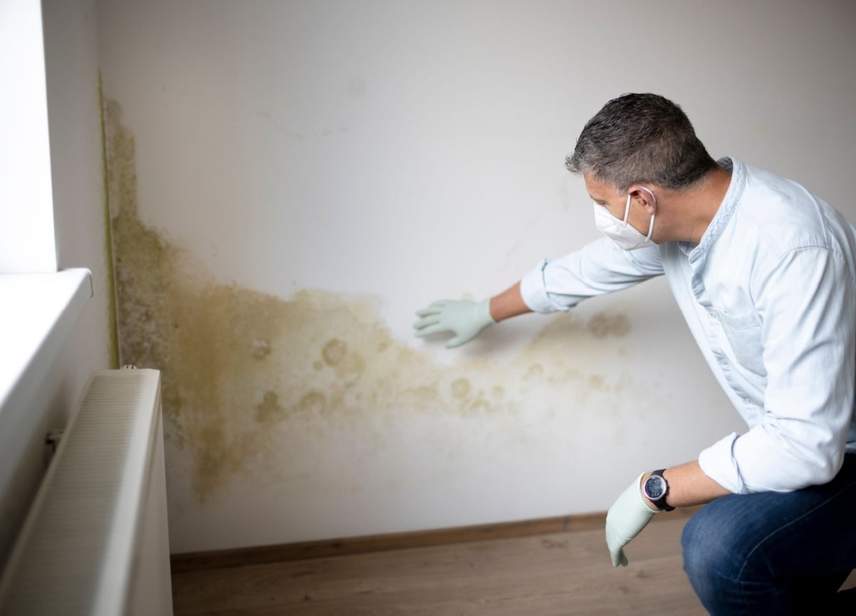 Izolatie interioara antimucegai: solutii eficiente si materiale recomandate 