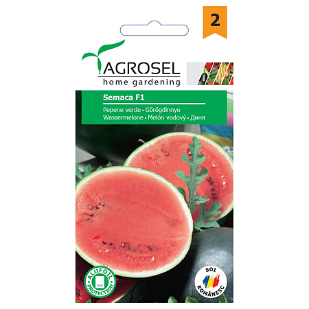 Seminte de pepene verde, Agrosel Semaca F1