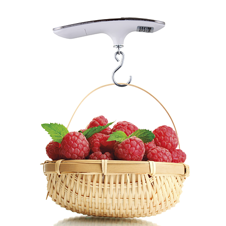 Cantar digital pentru bagaje Emos, 50 kg, gri, 175 × 70 × 45 mm Cantar digital pentru bagaje Emos, 50 kg, gri, 175 × 70 × 45 mm