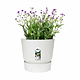 Ghiveci cu rezervor de apa Elho Greenville, plastic, alb, diametru 14 cm