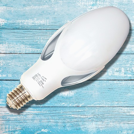 Bec LED Lohuis Flower, E40, 80 W, 8500 lm, lumina rece 6500K