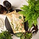 Substrat Dr. Soil, pentru plante carnivore, 1 L