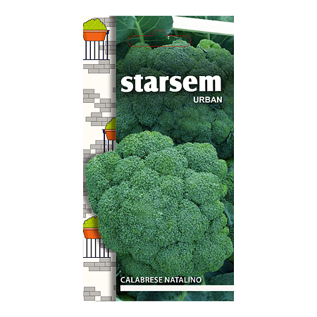 Seminte de broccoli, Starsem Calabrese Natalino