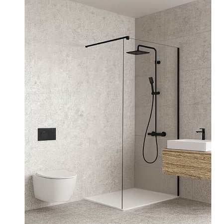 Perete fix dus / walk in Sanotechnik Sanoflex Young Black BF100, sticla 6 mm clara, profil negru mat, 95-97 x 195 cm cm