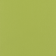 Cant PVC Verde pastel D134 PS11, 42 x 2 mm