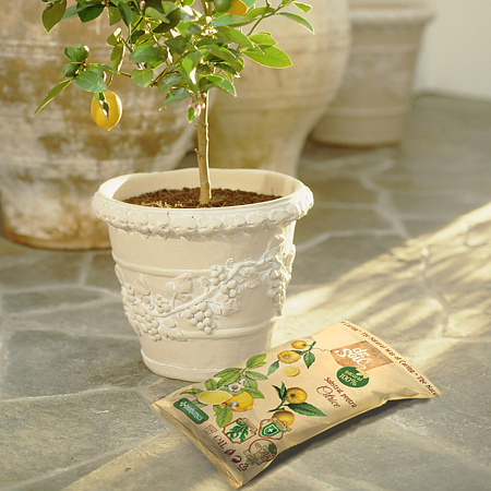 Substrat pentru citrice Dr. Soil, 1l Substrat pentru citrice Dr. Soil, 1l