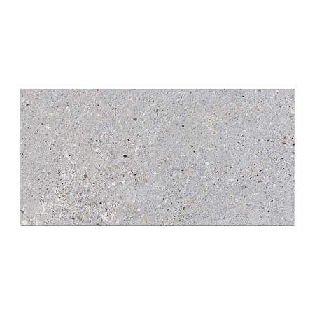 Gresie interior/exterior portelanata Breccia, gri, mat, aspect beton, clasa aderenta R10, PEI 4, 9 mm, 60 x 30 cm