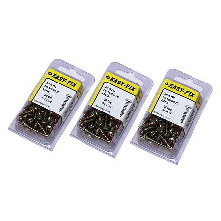Set holsuruburi, cap bombat, otel, 4 x 16 mm, 30 bucati Set holsuruburi, cap bombat, otel, 4 x 16 mm, 30 bucati