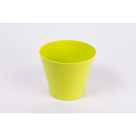 Ghiveci Zinnia, 145 mm, lime
