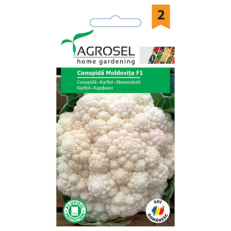 Seminte de conopida, plic, Agrosel Moldovita F1
