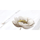 Set medalion faianta decorativa Cesarom Statuario, finisaj lucios, alb, model floral, 3 buc, 50 x 25 cm