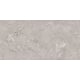 Gresie portelanata interior/exterior Ariana Dove, rectificata, lucios, gri, aspect piatra, 60 x 120 cm