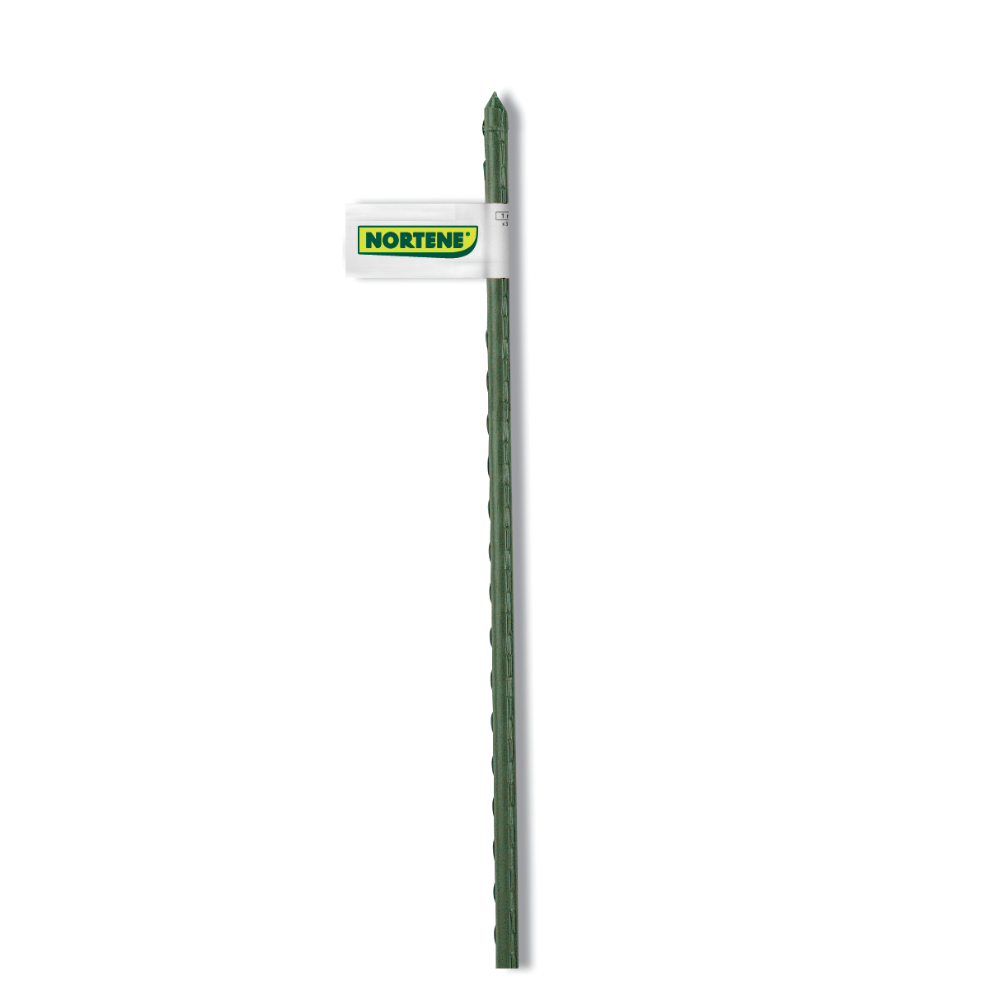 Tutor pentru plante Nortene, otel acoperit cu plastic, verde, Ø16 mm, 210 cm