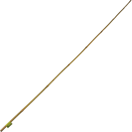 Tutor bambus, 180 cm x 12-16 mm