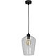 Suspensie Santiago, 1XE27, 60 W, metal/sticla, negru