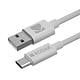 KODAK CABLU USB - TYPE C 30425965