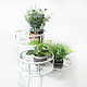 Set 3 suporti pentru flori, metal, 61 x 49 x 53 cm