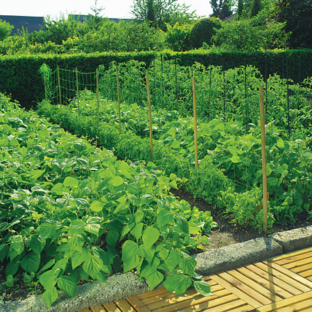 Plasa suport pentru plantele cataratoare Nortene Trellinet, verde, 10 x 1.7 m