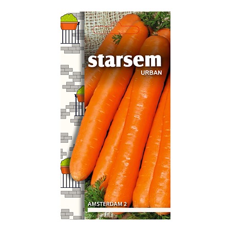 Seminte de morcovi, Starsem Amsterdam 2