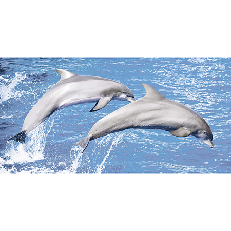Set 4 placi faianta decorativa Kai Dolphins, finisaj lucios, decor delfini, 60 x 30 cm