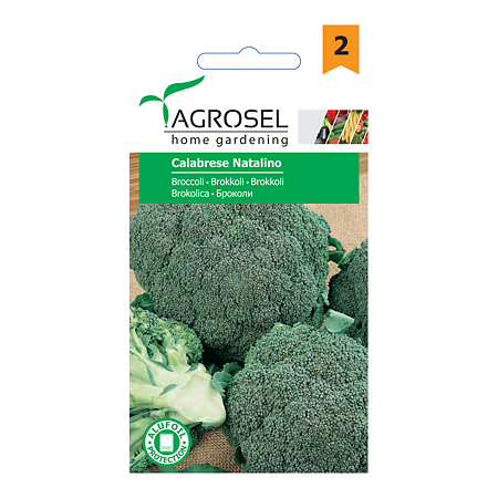 Seminte de broccoli, Agrosel Calabrese Natalino