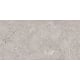 Gresie portelanata interior/exterior Ariana Dove, rectificata, lucios, gri, aspect piatra, 60 x 120 cm