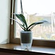 Ghiveci Santino Orchidea Twin, plastic, transparent, 2 l, diametru 15 cm, 18 cm