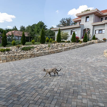 Pavaj rezidential Elis Anima D2, dreptunghi, dolomit, 20 x 10 x 6 cm