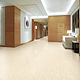 Gresie Orient Ceramic 8032, portelanata, 60 x 60 mm Gresie Orient Ceramic 8032, portelanata, 60 x 60 mm