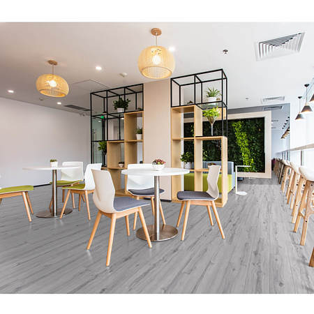 Parchet laminat 8 mm Falquon Wood Arctic Gri Q1026, nuanta deschisa, aspect lucios, gri deschis, clasa de trafic 32, click, 1220 x 193 mm Parchet laminat 8 mm Falquon Wood Arctic Gri Q1026, nuanta deschisa, aspect lucios, gri deschis, clasa de trafic 32, click, 1220 x 193 mm